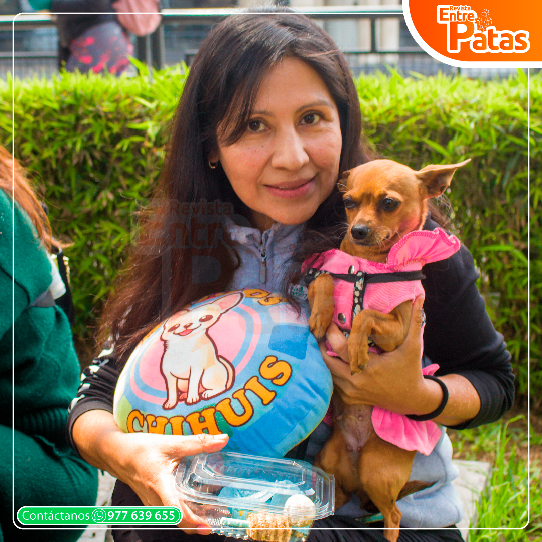 Chihui Picnic Winter