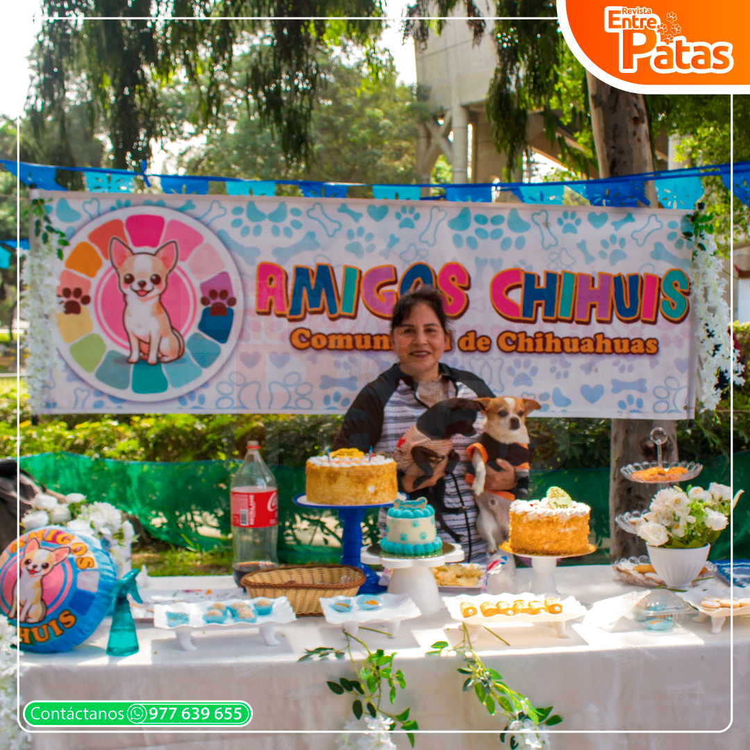 Chihui Picnic Winter