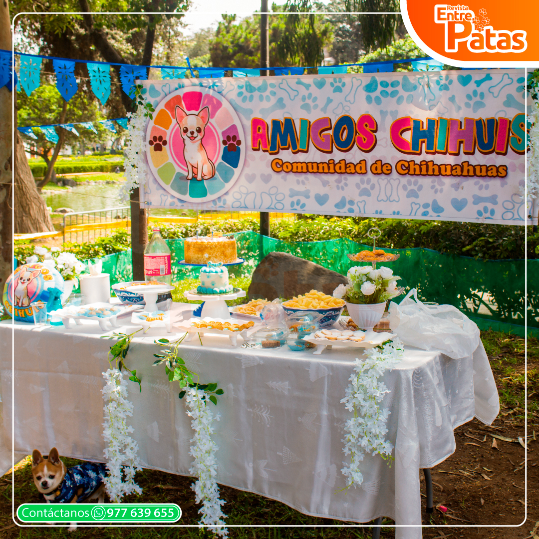 Chihui Picnic Winter