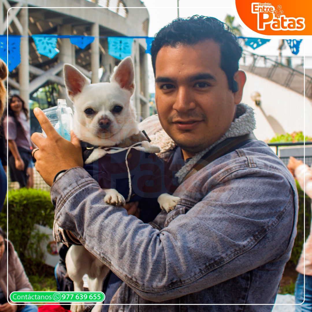 Chihui Picnic Winter