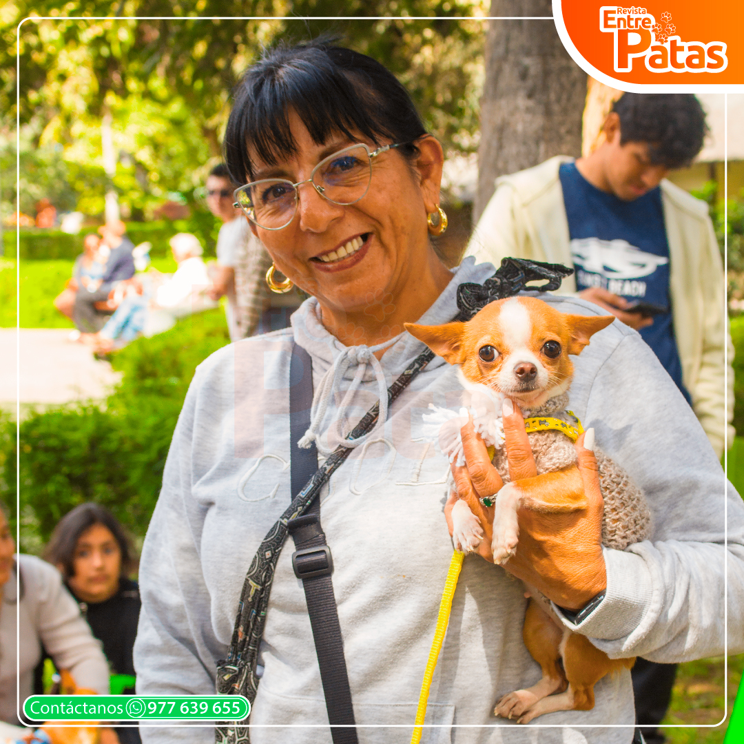 Chihui Picnic Winter