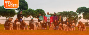Bobtails Patrio