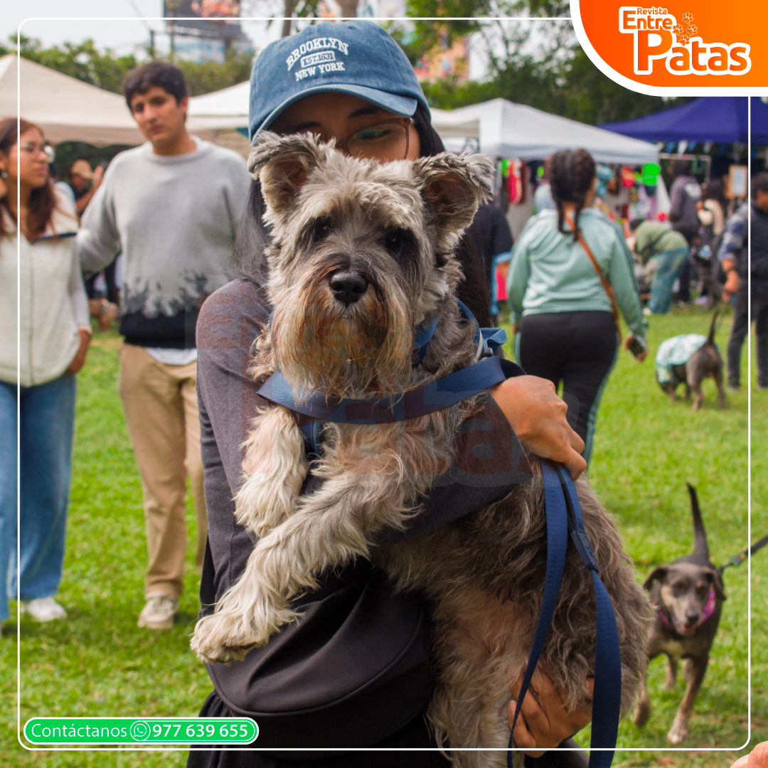 Perrotón 2025