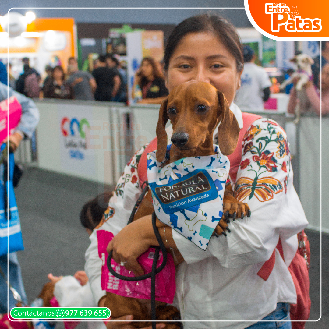 Latin pet 2025