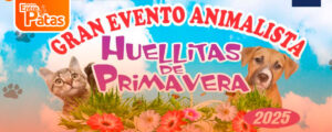Huellitas