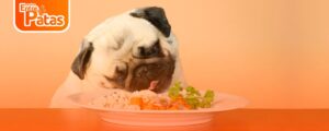 Alimentos Dañinos