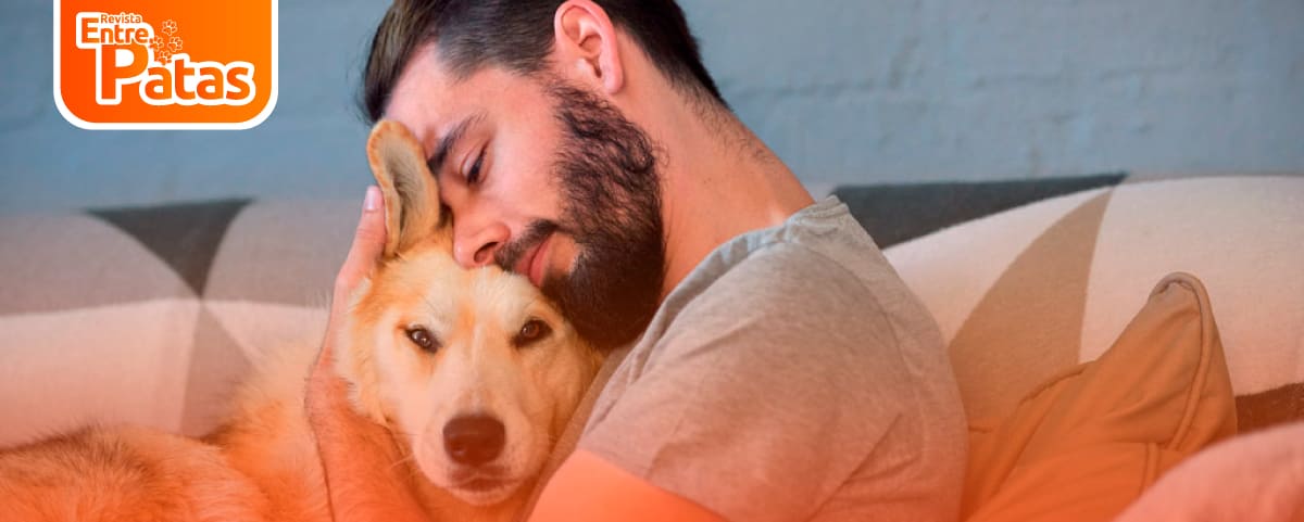 Confianza en Perros