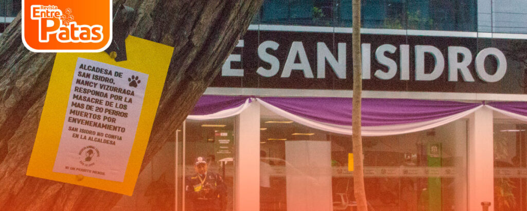 perros envenenados en San Isidro