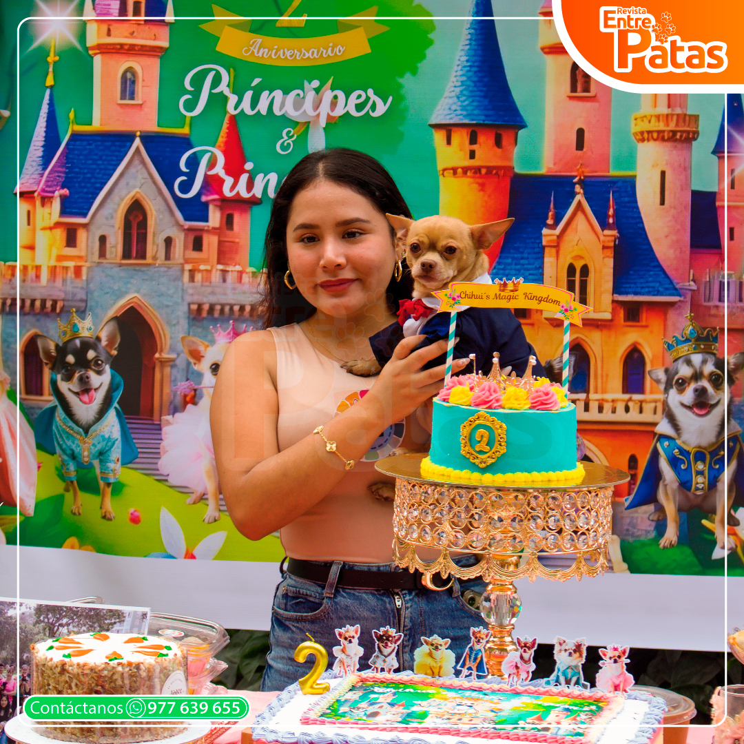 Amigos Chihuis aniversario