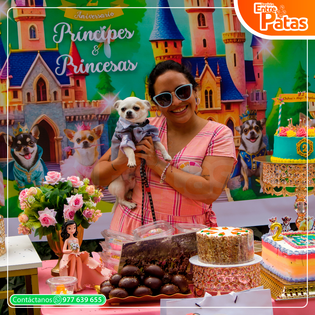 Amigos Chihuis aniversario