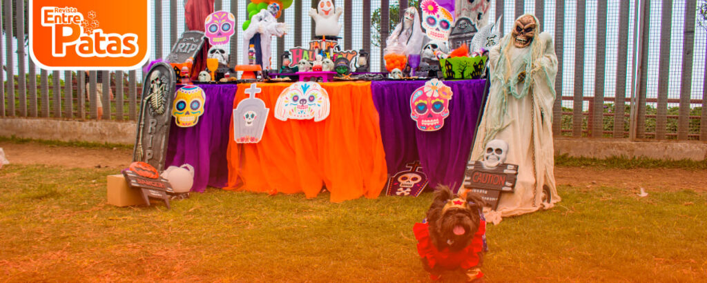 SHIH TZU WEEN