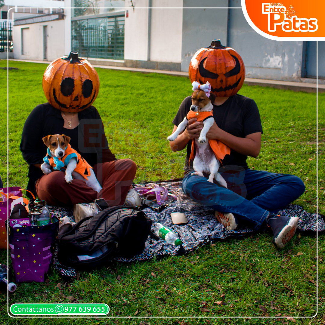 Pawloween - Mamás perrunas