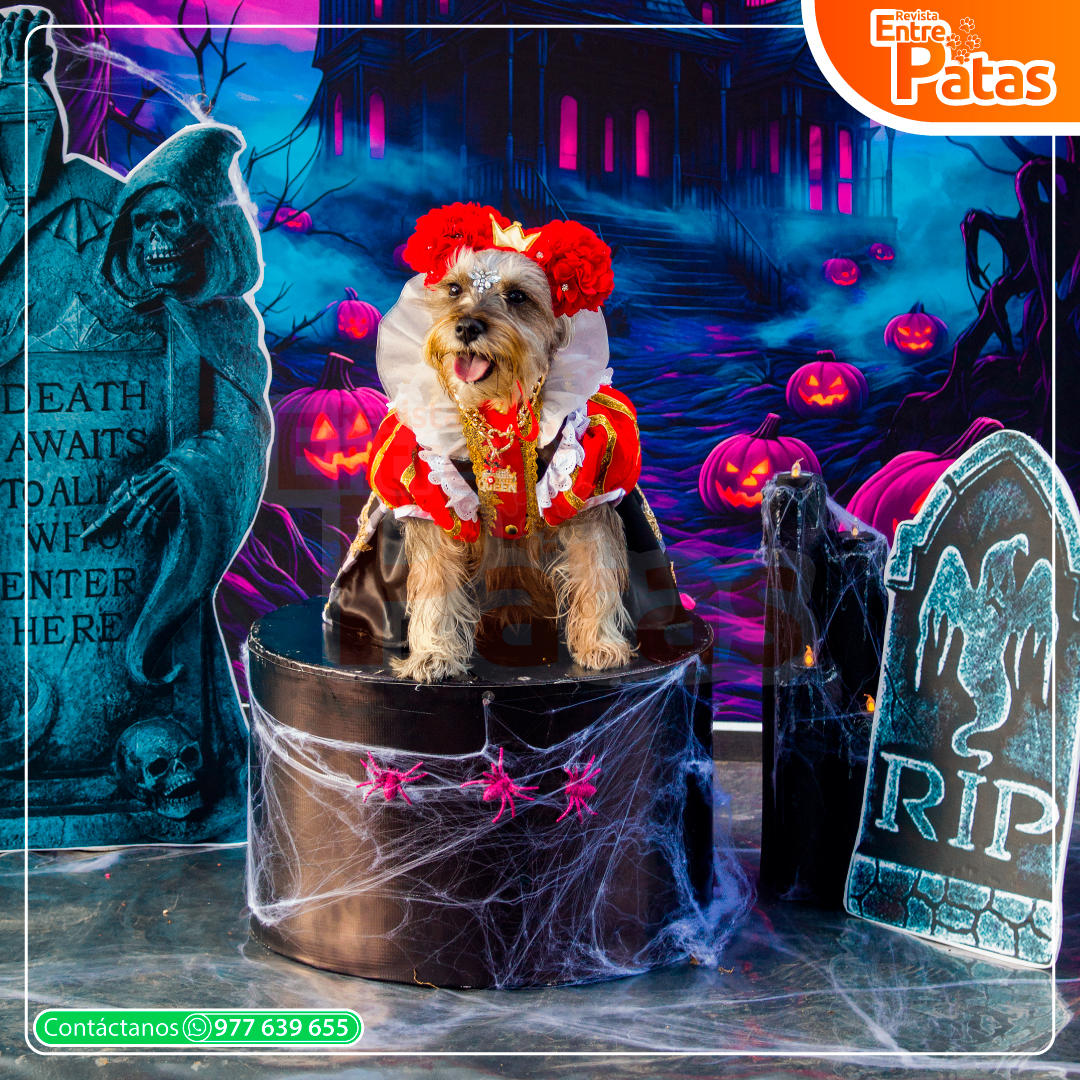 Pawloween - Mamás perrunas