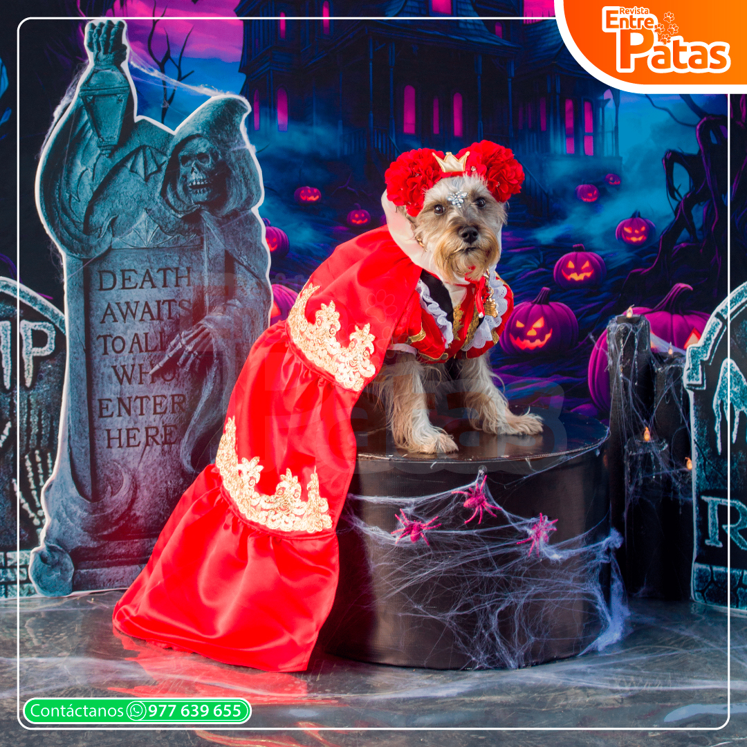 Pawloween - Mamás perrunas