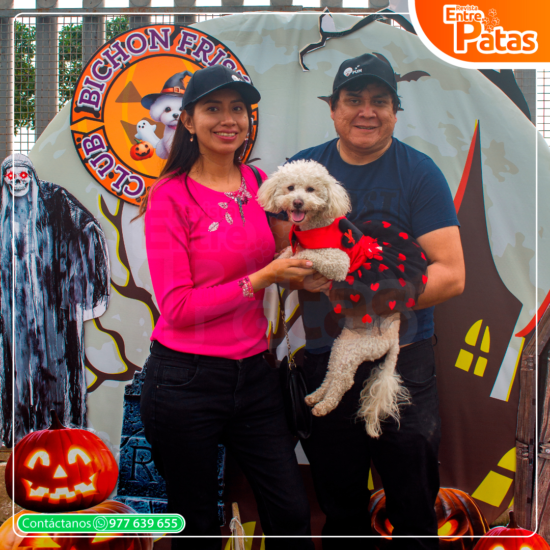 Bichonween