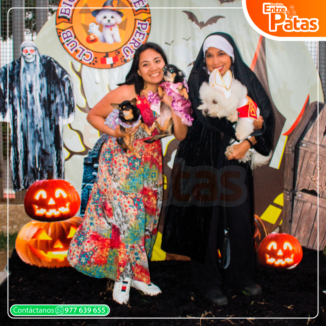 Bichonween