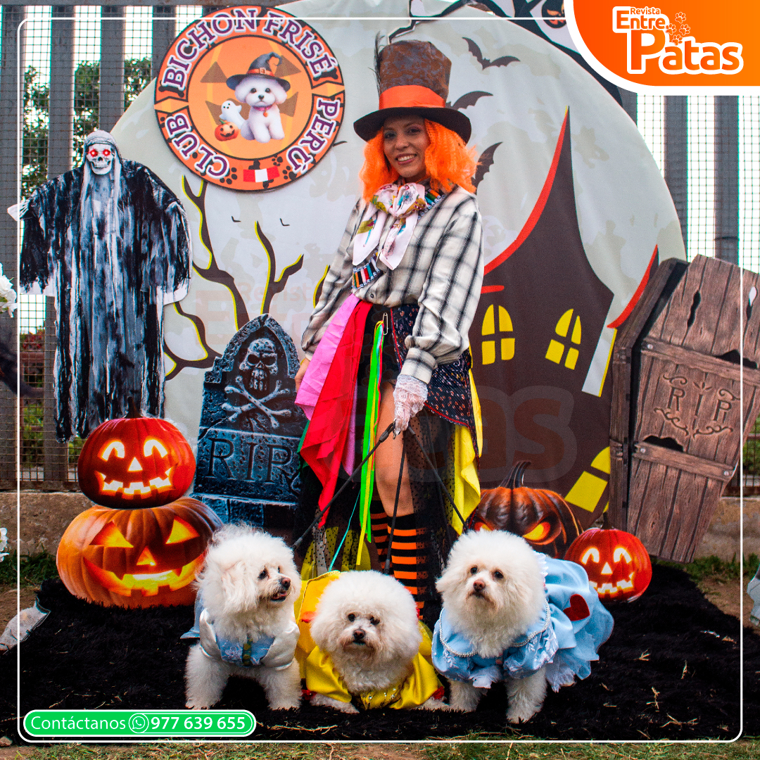 Bichonween