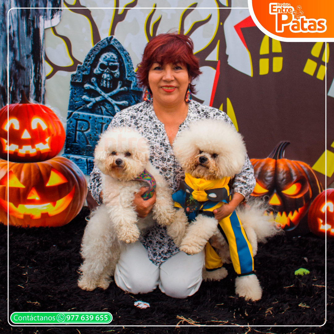 Bichonween