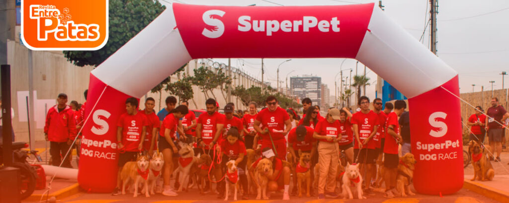 SuperPet DogRace