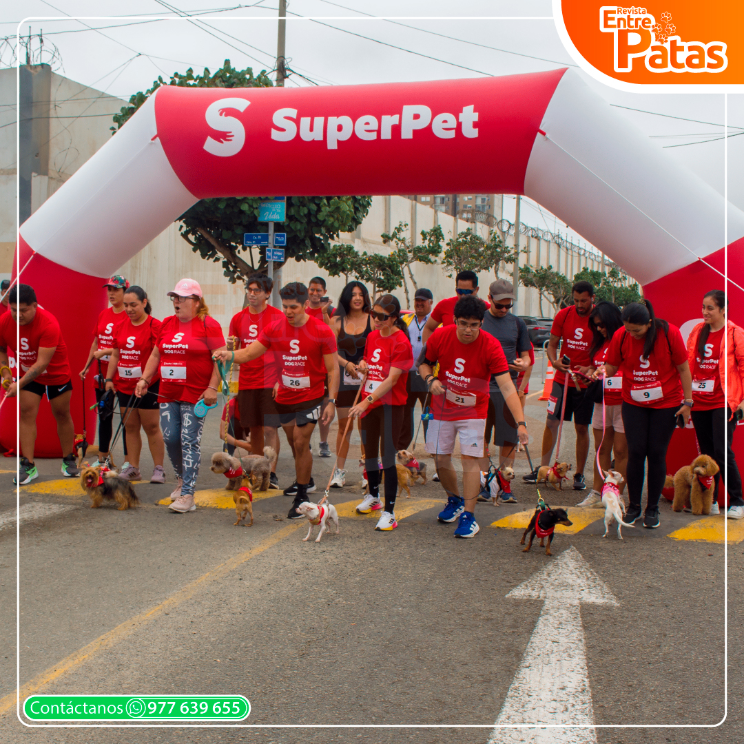 SuperPet DogRace