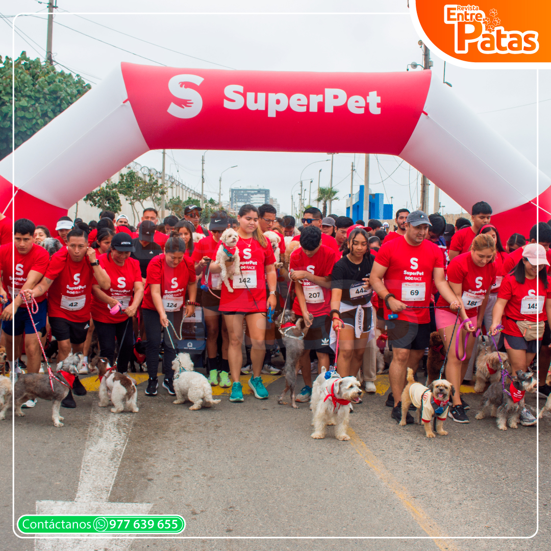 SuperPet DogRace