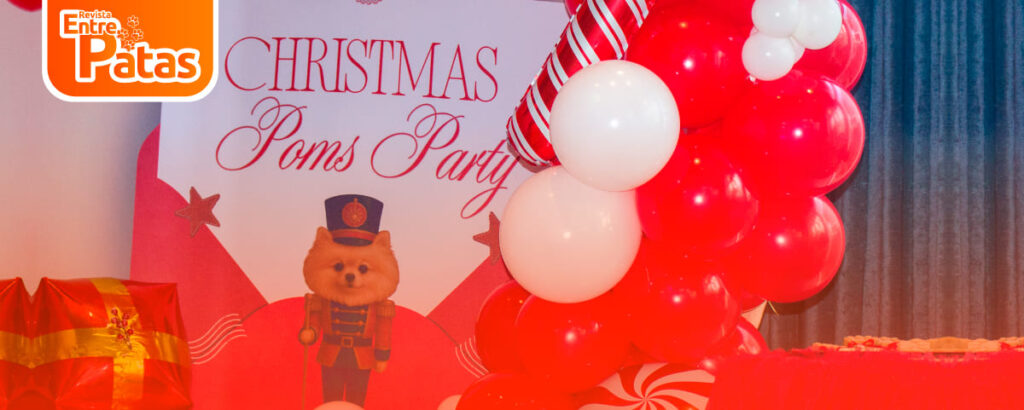 Christmas Poms
