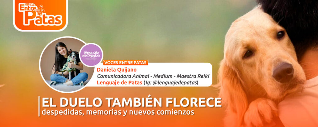 Duelo