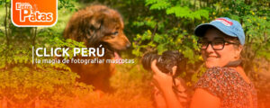 Click Perú