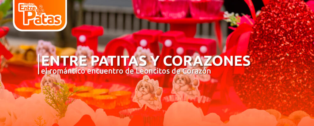 Leoncitos Paw Valentín