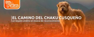 Chaku