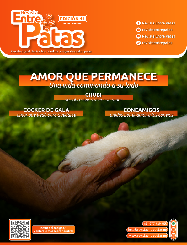 Revista Entre Patas - Edición 11