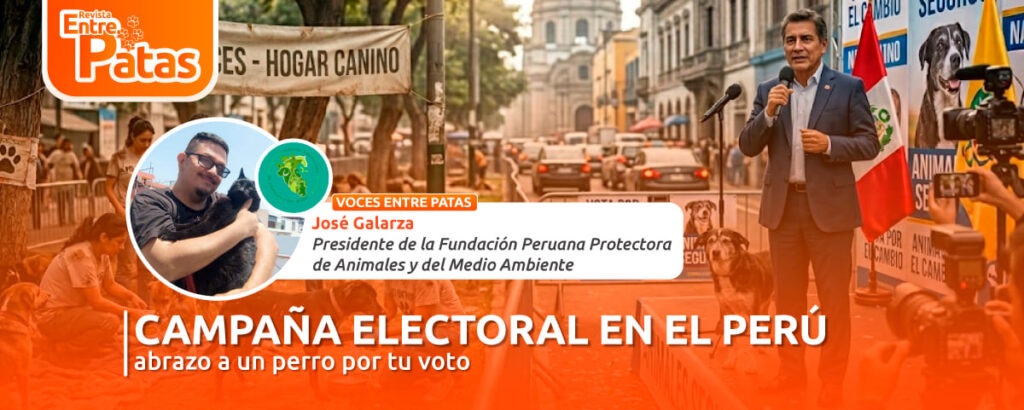 Campaña