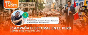 Campaña