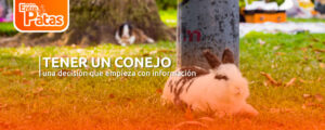 Conejo