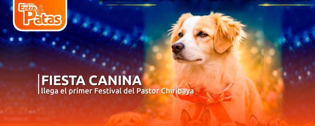 Pastor chiribaya