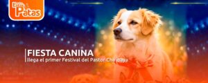 Pastor chiribaya