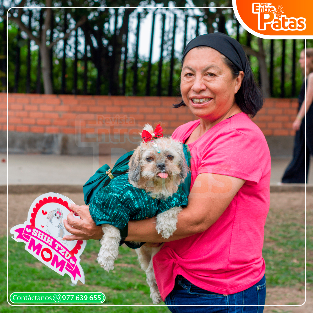 Shih Tzu Mami