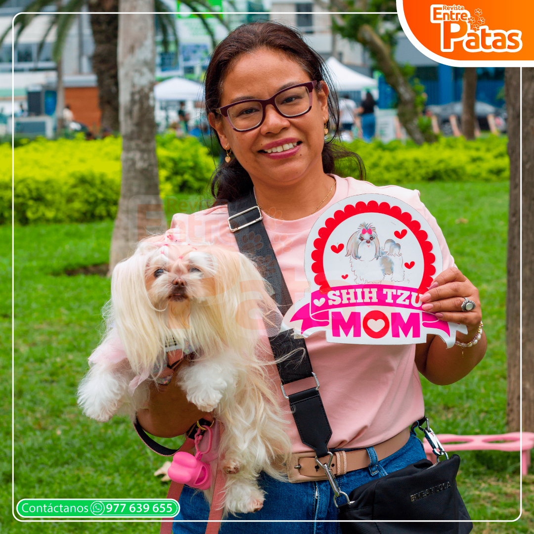Shih Tzu Mami
