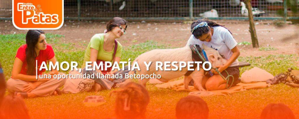 Betopocho