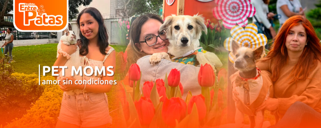 PET MOM