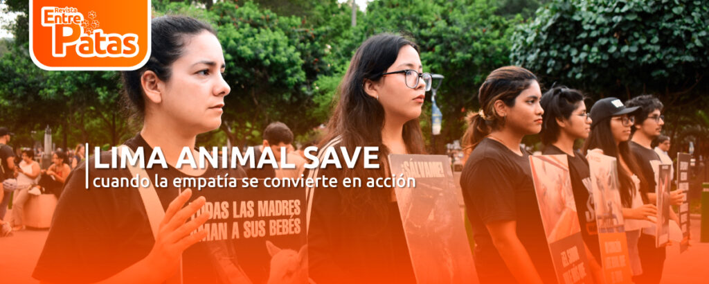 LIMA ANIMAL SAVE