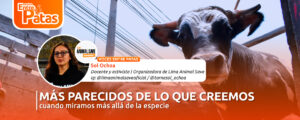 Lima Animal Save