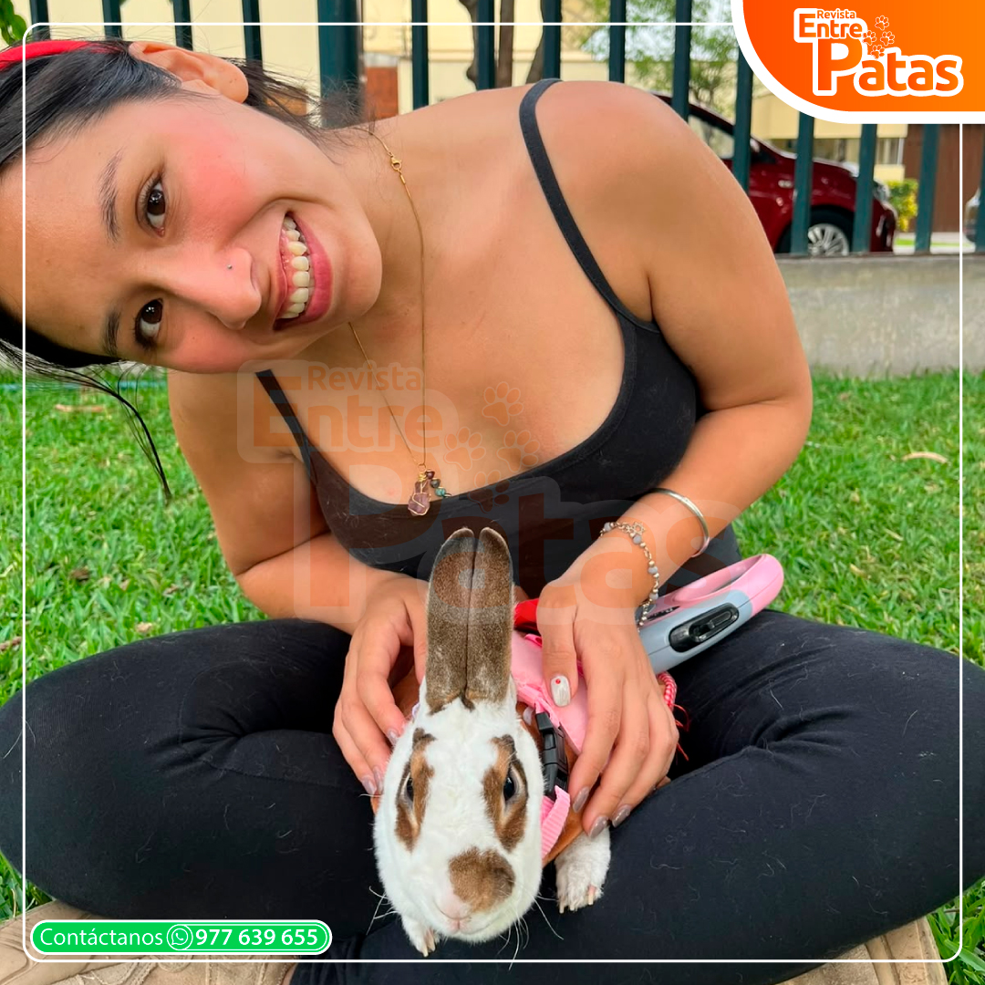 PET MOM