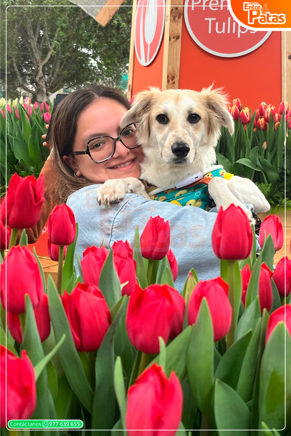 PET MOM