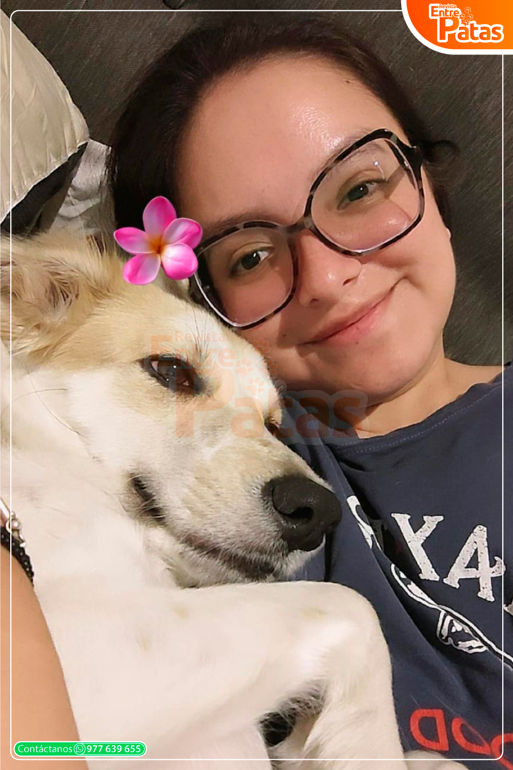 PET MOM