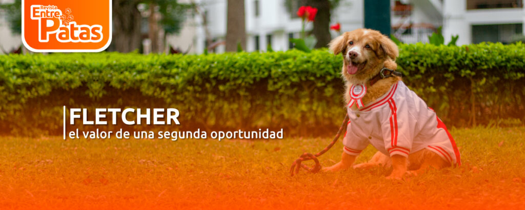 Fletcher