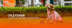 Fletcher