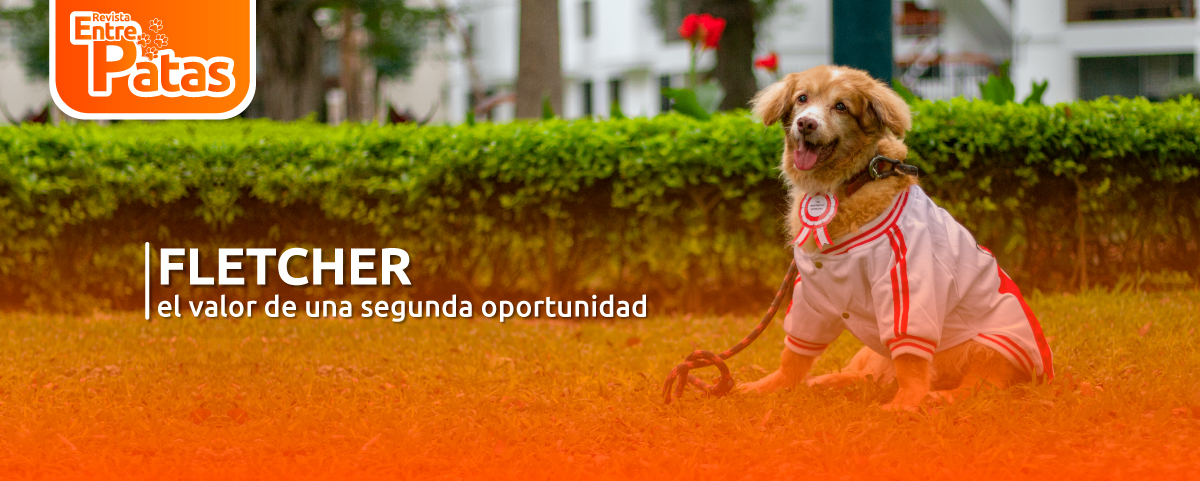 Fletcher