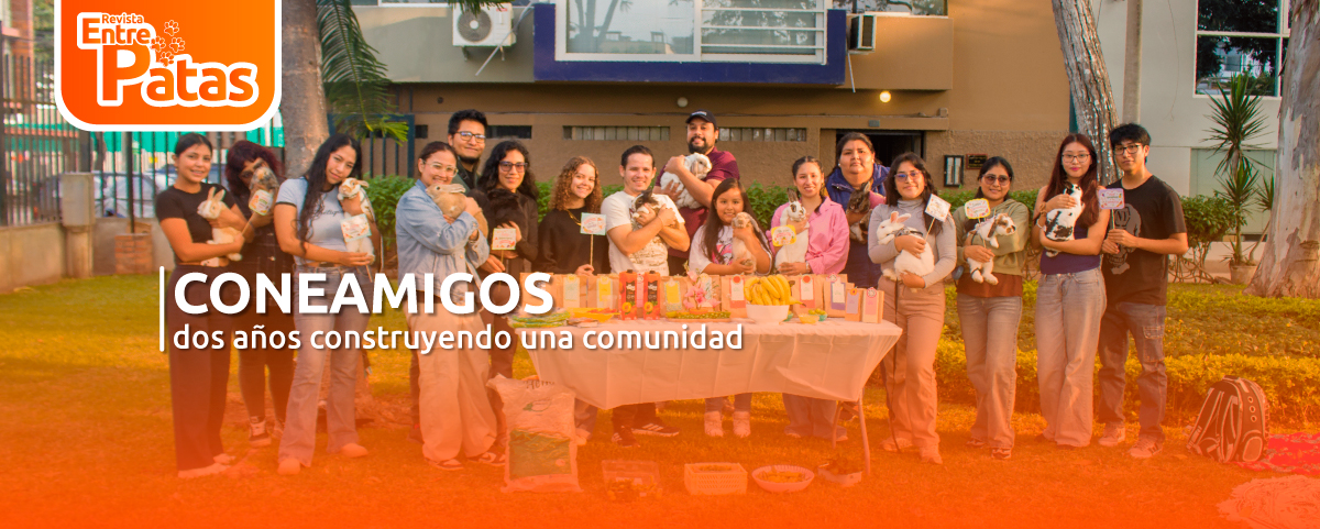 Coneamigos